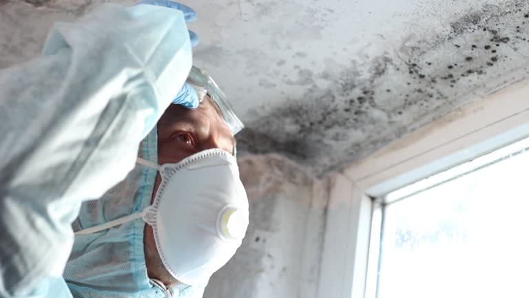 Mold Documentation for Insurance Claims